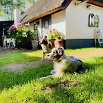 Tatil Evi Bakhuisje Op De Veluwe