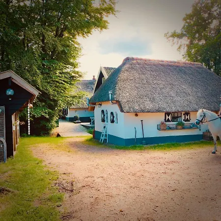 Holiday home Bakhuisje Op De Veluwe
