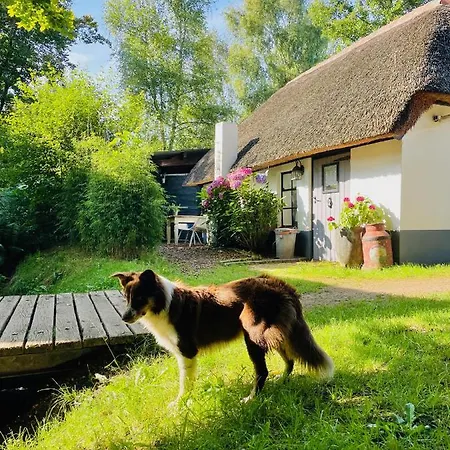 Feriehus Bakhuisje Op De Veluwe Heerde