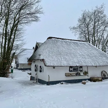 Bakhuisje Op De Veluwe Heerde