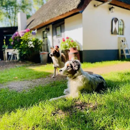 Holiday home Bakhuisje Op De Veluwe