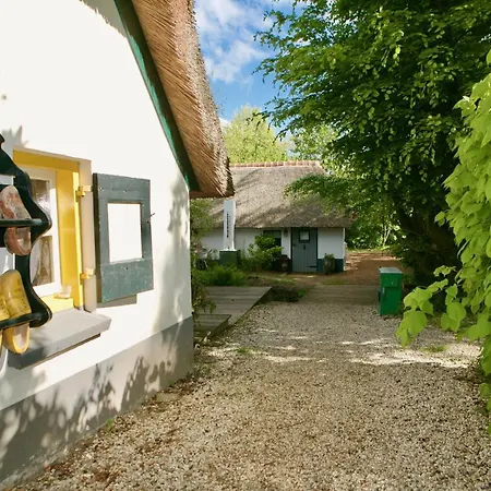Bakhuisje Op De Veluwe Feriehus Heerde