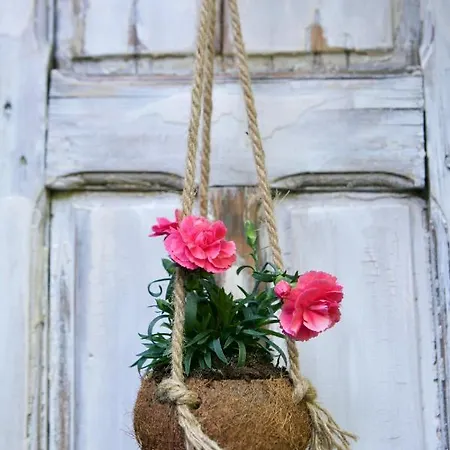 Bakhuisje Op De Veluwe * Heerde