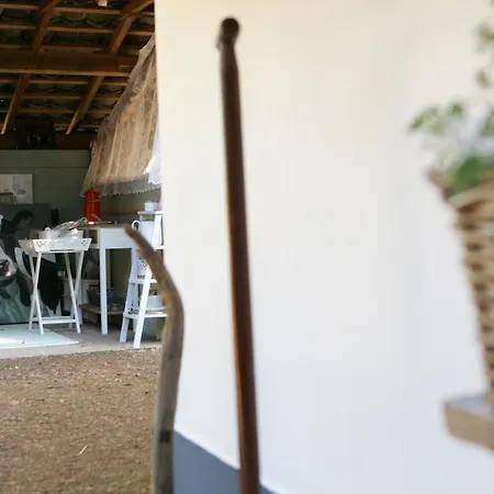 Feriehus Bakhuisje Op De Veluwe *