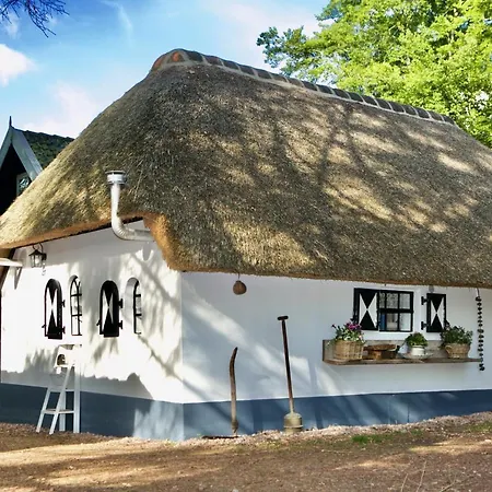 Holiday home Bakhuisje Op De Veluwe