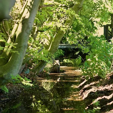 Bakhuisje Op De Veluwe *