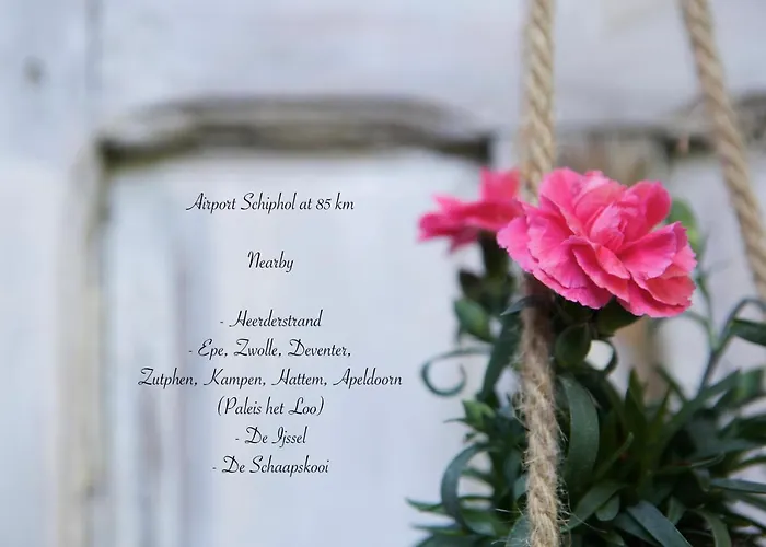 Bakhuisje Op De Veluwe *