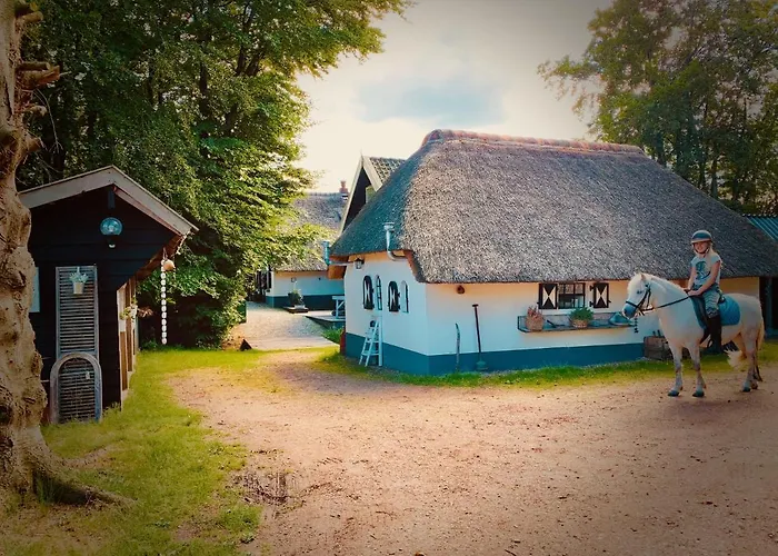 Σπίτι διακοπών Bakhuisje Op De Veluwe