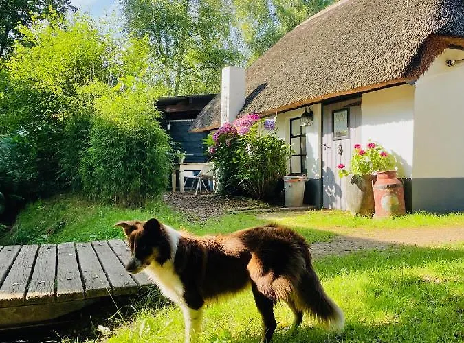 Σπίτι διακοπών Bakhuisje Op De Veluwe Heerde