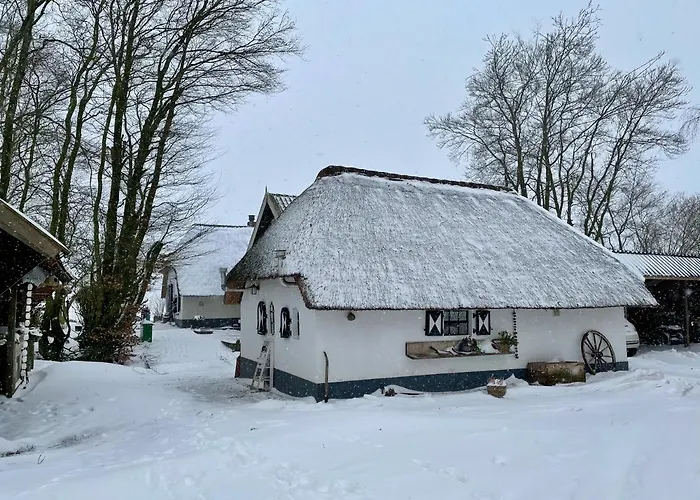 Bakhuisje Op De Veluwe Heerde