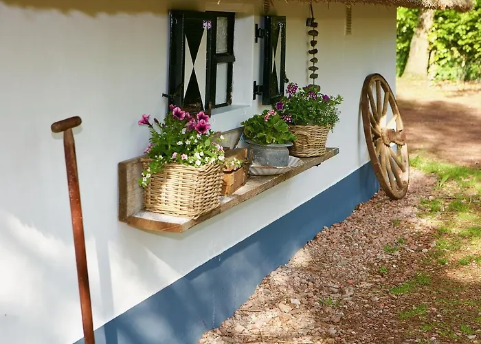 Bakhuisje Op De Veluwe * Heerde