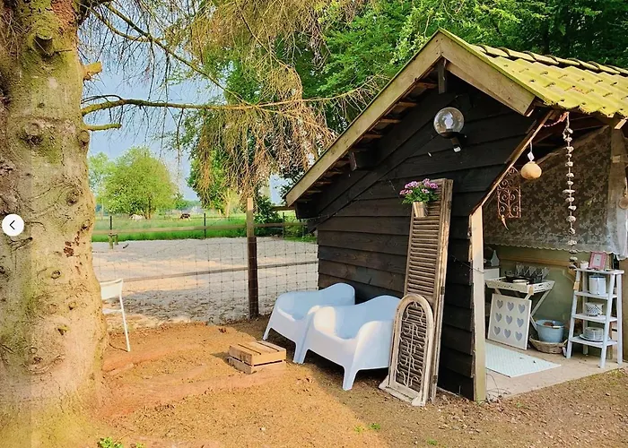 Bakhuisje Op De Veluwe Holiday home