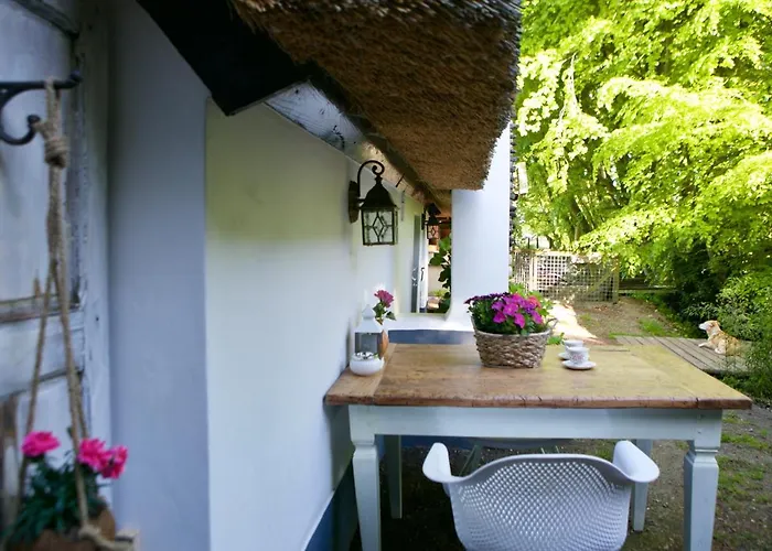 Bakhuisje Op De Veluwe