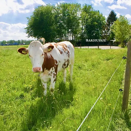 Tatil Evi Bakhuisje Op De Veluwe *