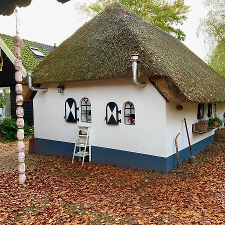 Bakhuisje Op De Veluwe * Heerde
