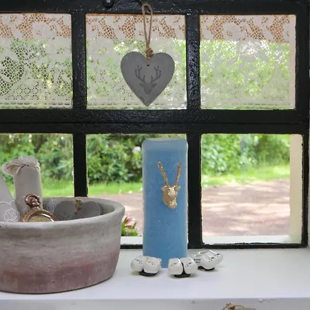 Bakhuisje Op De Veluwe Tatil Evi *