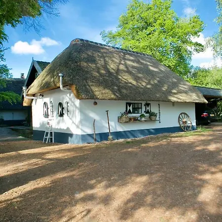 Bakhuisje Op De Veluwe Tatil Evi Heerde