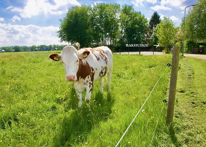 Prázdninový dům Bakhuisje Op De Veluwe *
