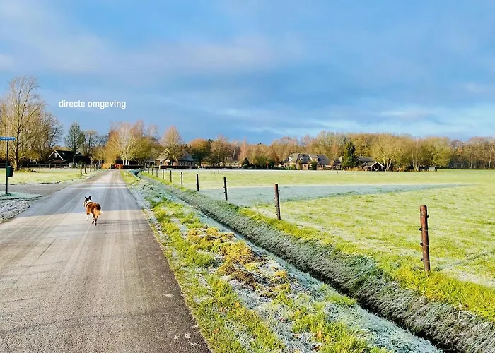 Prázdninový dům Bakhuisje Op De Veluwe