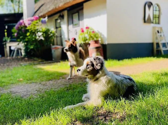 Prázdninový dům Bakhuisje Op De Veluwe