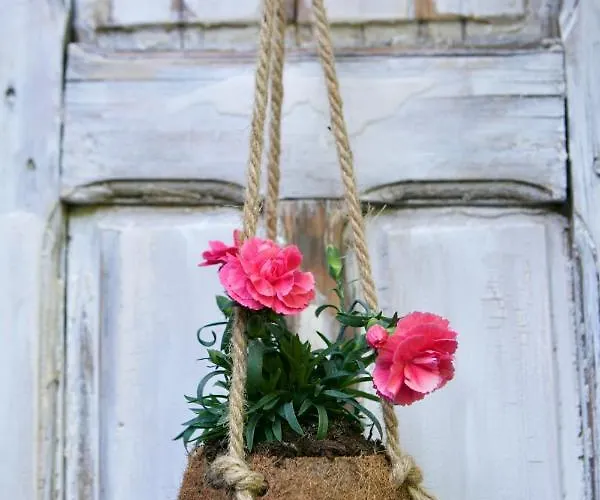 Bakhuisje Op De Veluwe * Heerde