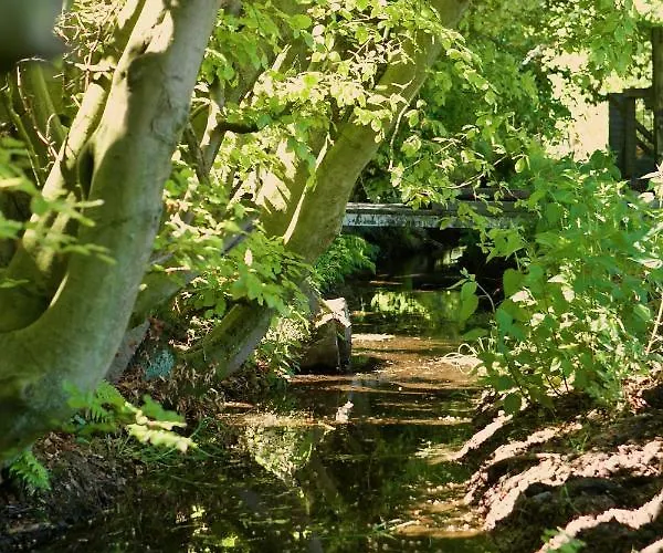 Bakhuisje Op De Veluwe *