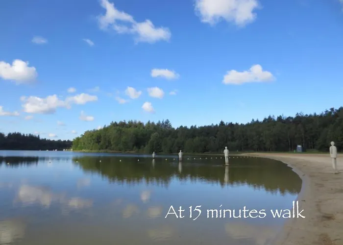 Bakhuisje Op De Veluwe